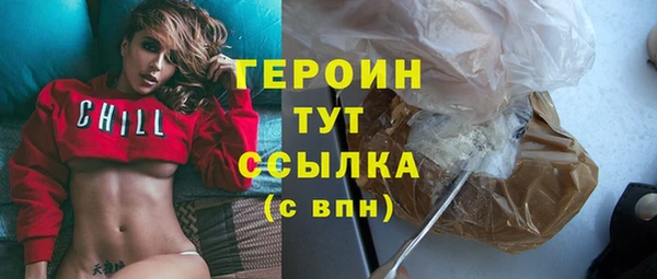 хмурый Пересвет
