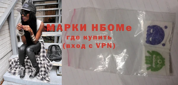 хмурый Пересвет