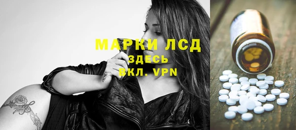 хмурый Пересвет