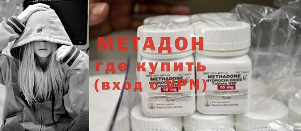хмурый Пересвет