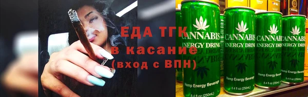 хмурый Пересвет