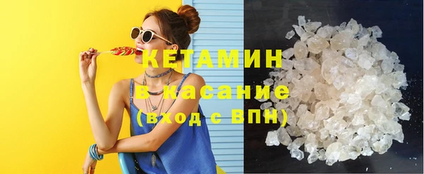 хмурый Пересвет