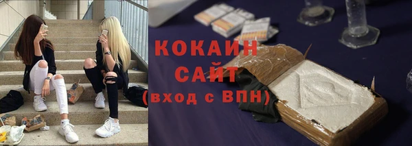 хмурый Пересвет