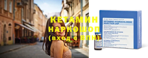 хмурый Пересвет