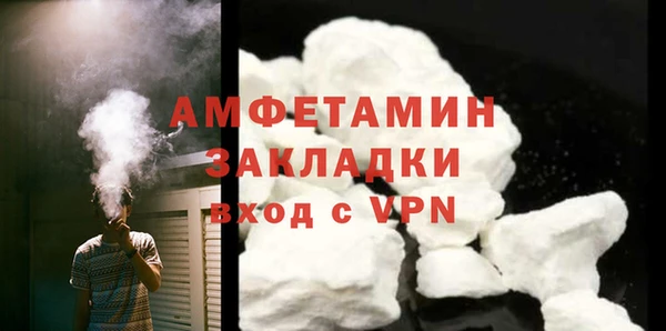 хмурый Пересвет