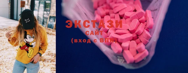хмурый Пересвет
