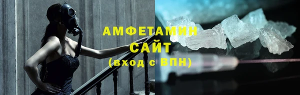 хмурый Пересвет