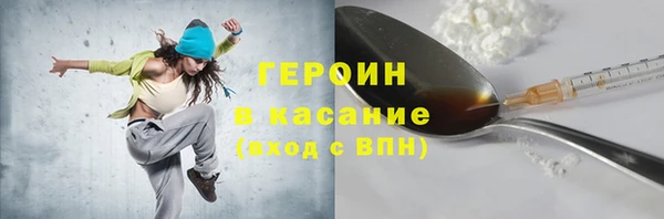 хмурый Пересвет