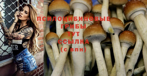 МДМА Пестово