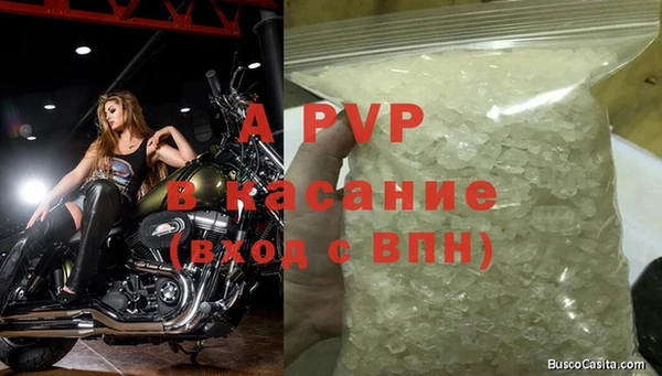 хмурый Пересвет