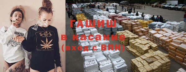 хмурый Пересвет