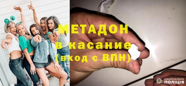 хмурый Пересвет