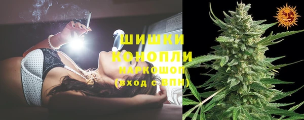 хмурый Пересвет